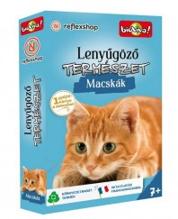 Lenyűgöző Természet - Macskák Kártyajáték